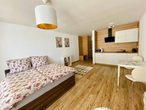 בויניצה Dream Apartman מראה חיצוני תמונה